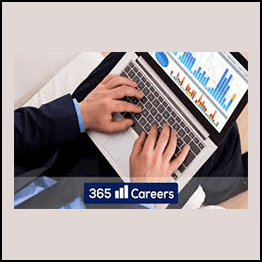 Beginner to Pro in Excel Financial Modeling and Valuation