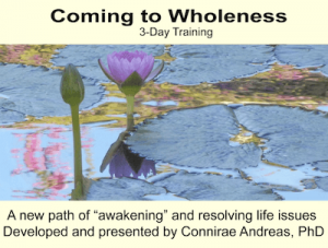 Connirae Andreas – 3-day Wholeness Training