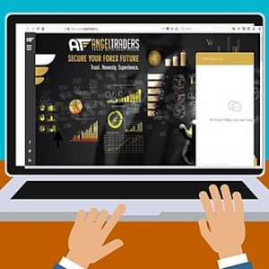 Derek VanDelinder – Angel Traders Forex Strategy Course