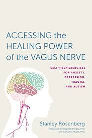 Stanley Rosenberg - Accessing the Healing Power of the Vagus Nerve: Self-Help Exercises