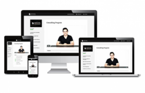 Lion Zeal – Consulting Program