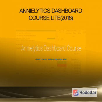 Annielytics Dashboard Course Lite(2016)