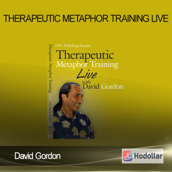 David Gordon - Therapeutic Metaphor Training LIVE