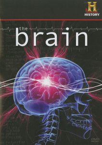History Channel - The Brain