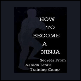 Ashida Kim - How To Become A Ninja