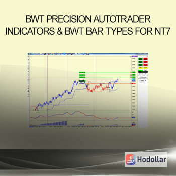 BWT Precision Autotrader - Indicators & BWT Bar Types for NT7
