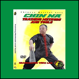 Chin Na Training Methods And Tools