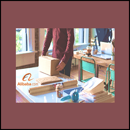 Diego Davila - Alibaba The Complete Guide to Import from Alibaba to Amazon