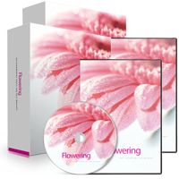 Holosync - Flowering Level 1&2
