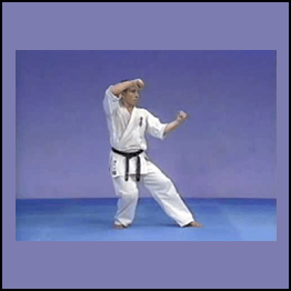 Kyokushin karate Katas