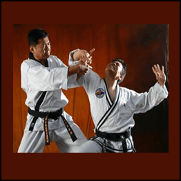 Lee Chang-soo - Hapkido Essentials
