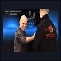 Master Wong - Wing Chun Biu Jee