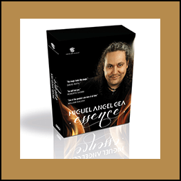 Miguel Angel Gea - Essence