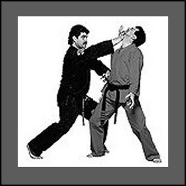Mohamad Tabatabai - American Kenpo Karate