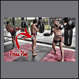 Muay Thai Guy - Heavybag Blueprint