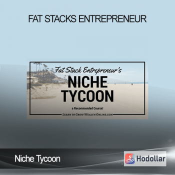 Niche Tycoon - Fat Stacks Entrepreneur