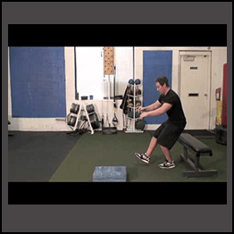 Nick Tumminello - Secrets Of Single Leg Training