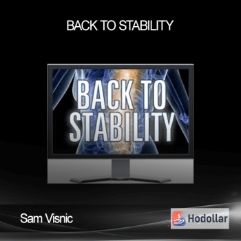 Sam Visnic – Back To Stability