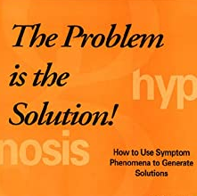 Stephen Gilligan-The Problem Is The Solution