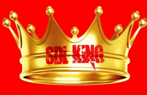Anthony Hustle - SDL King - A Step-By-Step Guide To Getting Laid With Super Hot Women The Same Day