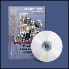 Tom Myers - Bodyreading 101-1 Of 3