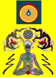 deve lopyourenergy.net - Ultra Ml Zong Taoist Yoga