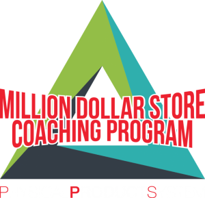 Matt Schmitt and Nishant Bhardwaj - The Million Dollar Store Coaching Program