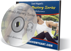 David Wygant - Mens Mastery Audio Series
