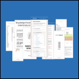 Chris Lee - Niche Site Course V3.0