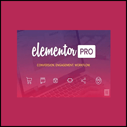 Elementor Pro - Improve Every Aspect of Your WordPress Design Live Easy and Fun