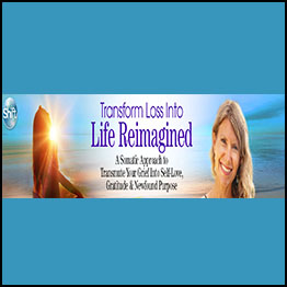 Wendy Black Stern - Transform Loss Into Life Reimagined
