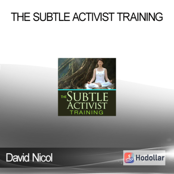 David Nicol - The Subtle Activist Training