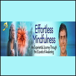 Loch Kelly - Effortless Mindfulness