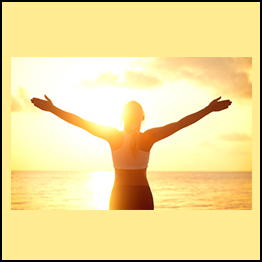 The Optimal Wellness Course