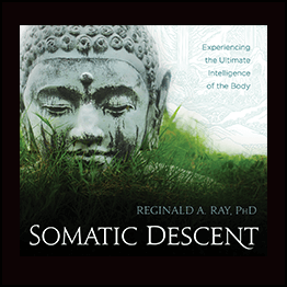 ​ Reginald A. Ray - Somatic Descent Experiencing the Ultimate Intelligence of the Body