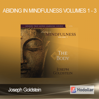 Joseph Goldstein - Abiding in Mindfulness Volumes 1 - 3