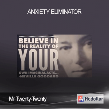 Mr Twenty-Twenty - Anxiety Eliminator
