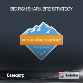 Basecamp - Big Fish Shark Bite Strategy
