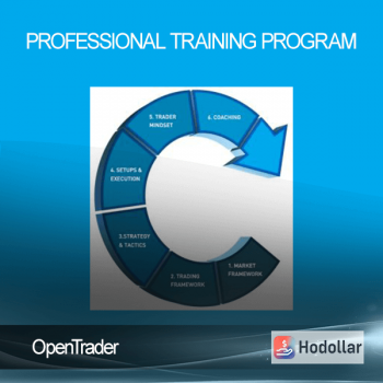 OpenTrader - Professional Training Program