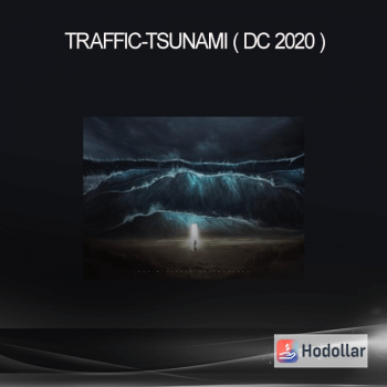 Traffic-Tsunami ( DC 2020 )