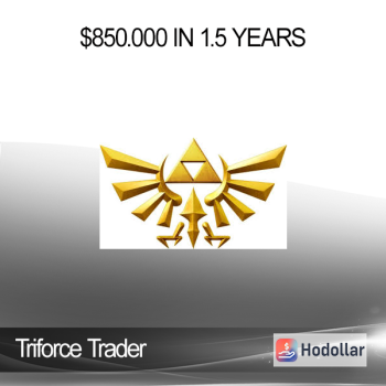 Triforce Trader - $850.000 IN 1.5 Years