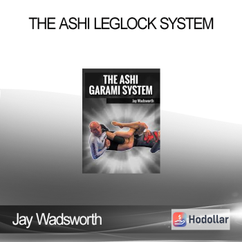 Jay Wadsworth - The Ashi Leglock System