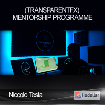 Niccolo Testa (TransparentFX) - Mentorship Programme