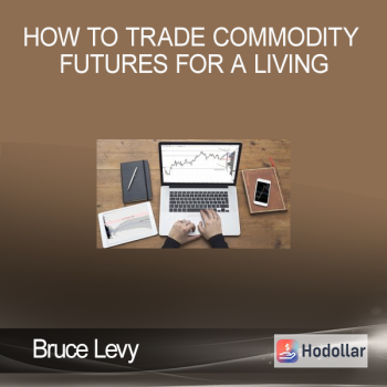 Bruce Levy - How To Trade Commodity Futures for a Living