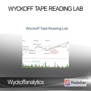 Wyckoffanalytics - Wyckoff Tape Reading Lab