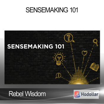 Rebel Wisdom - Sensemaking 101
