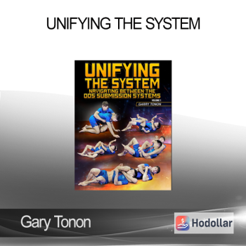 Gary Tonon - Unifying the System