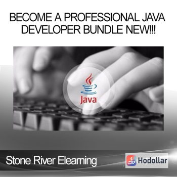 Stone River Elearning - Become a Professional Java Developer Bundle NEW!!!