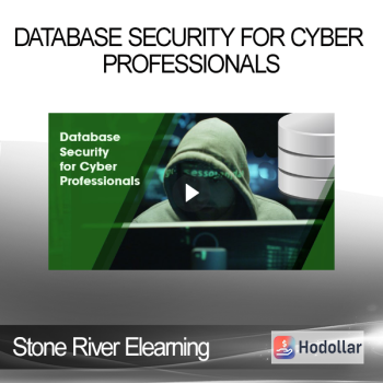 Stone River Elearning - Database Security for Cyber Professionals