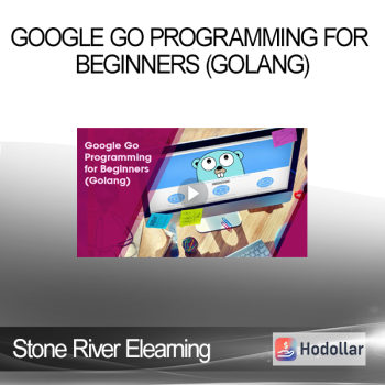 Stone River Elearning - Google Go Programming for Beginners (Golang)